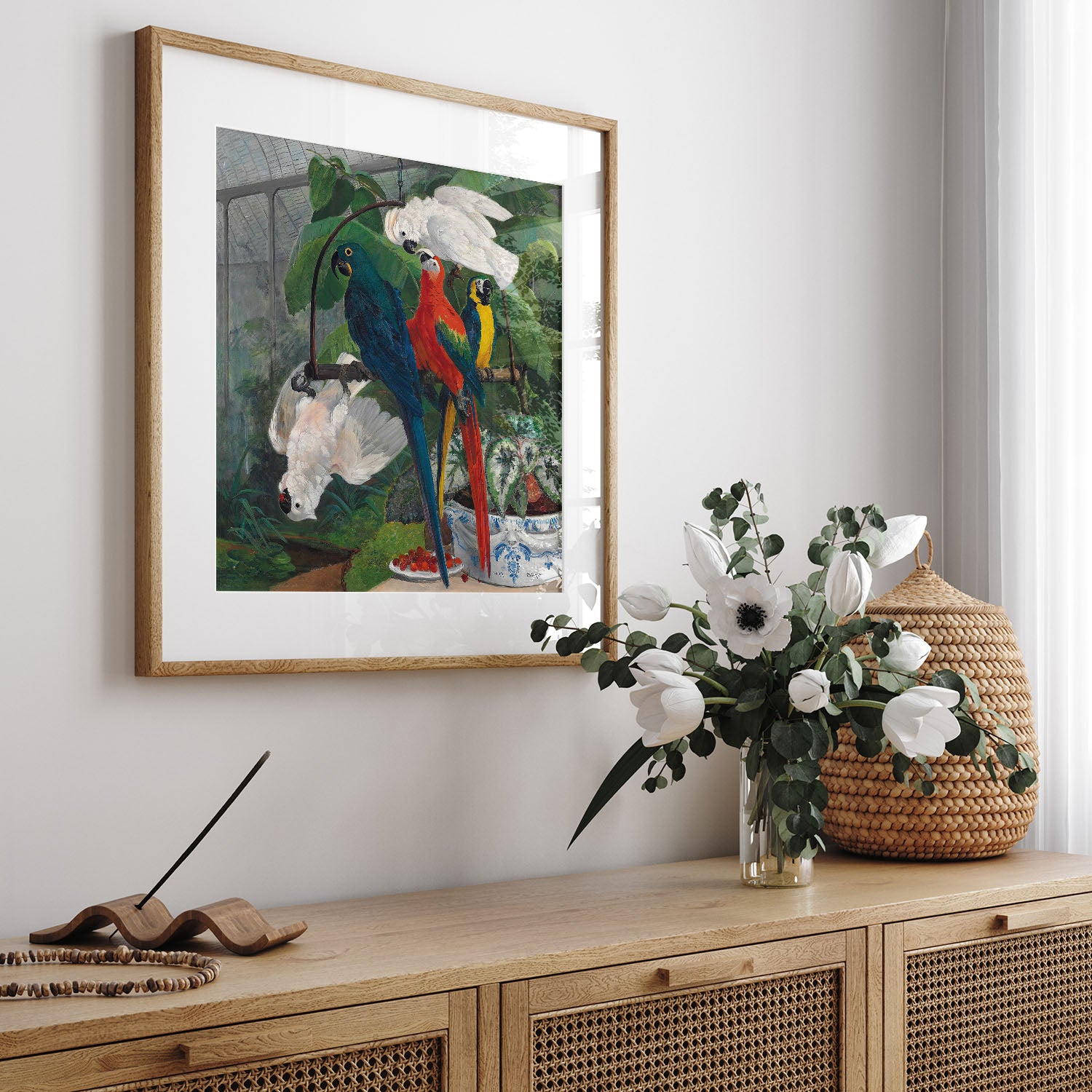 parrots