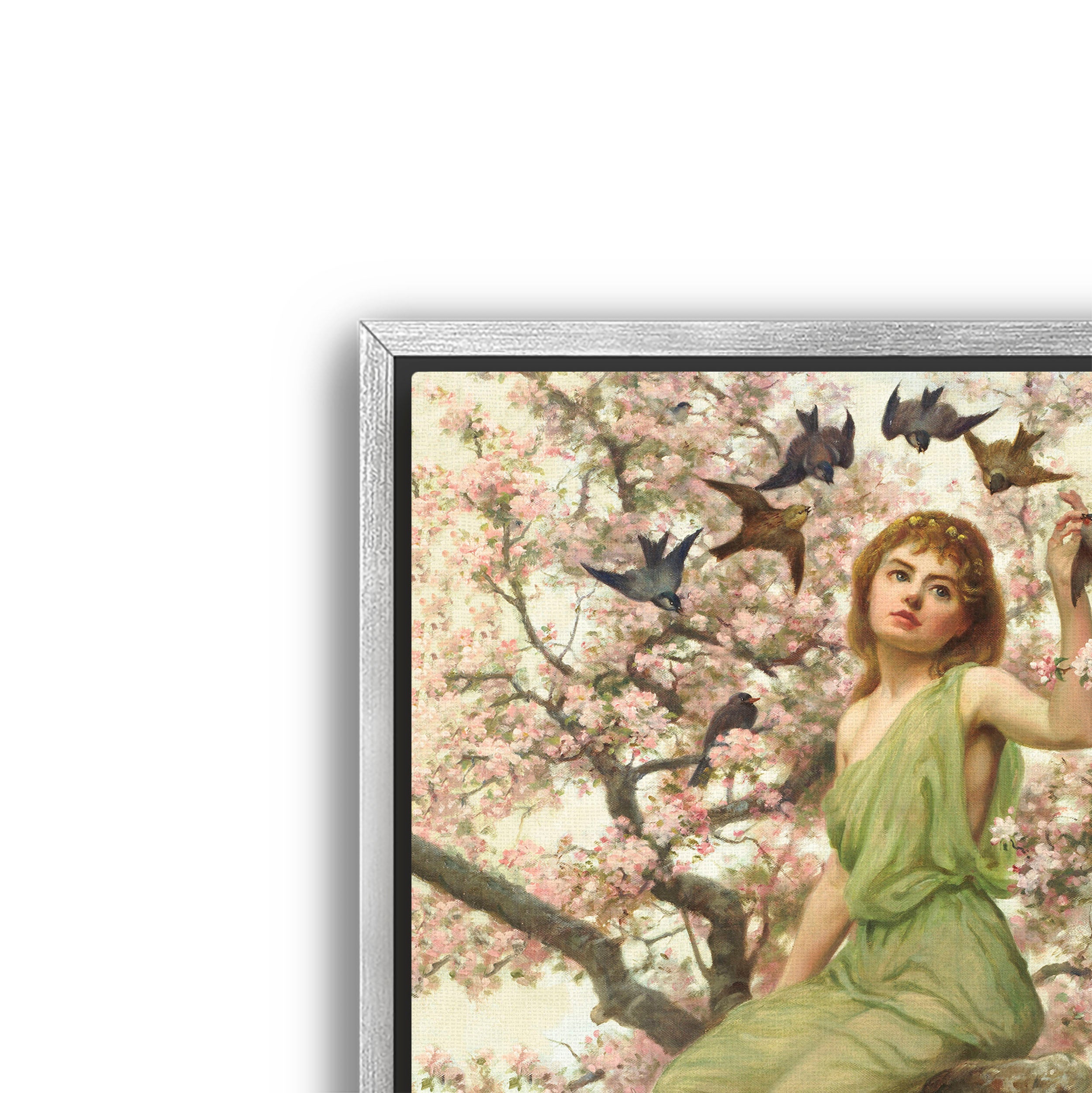 birds of spring
