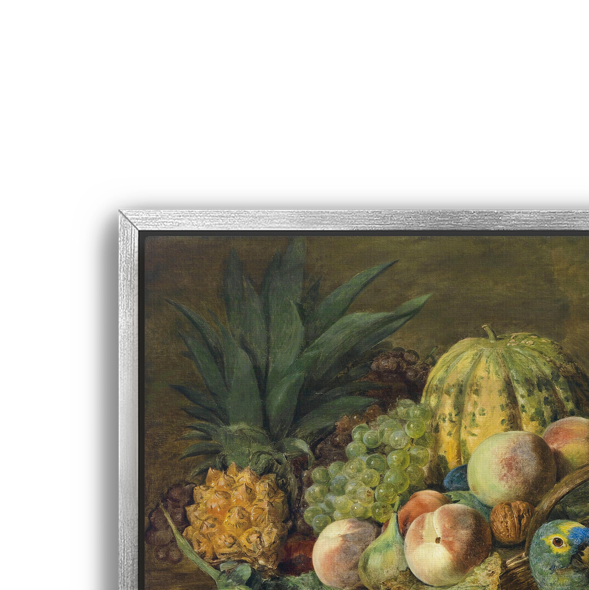 fruit with parrot
