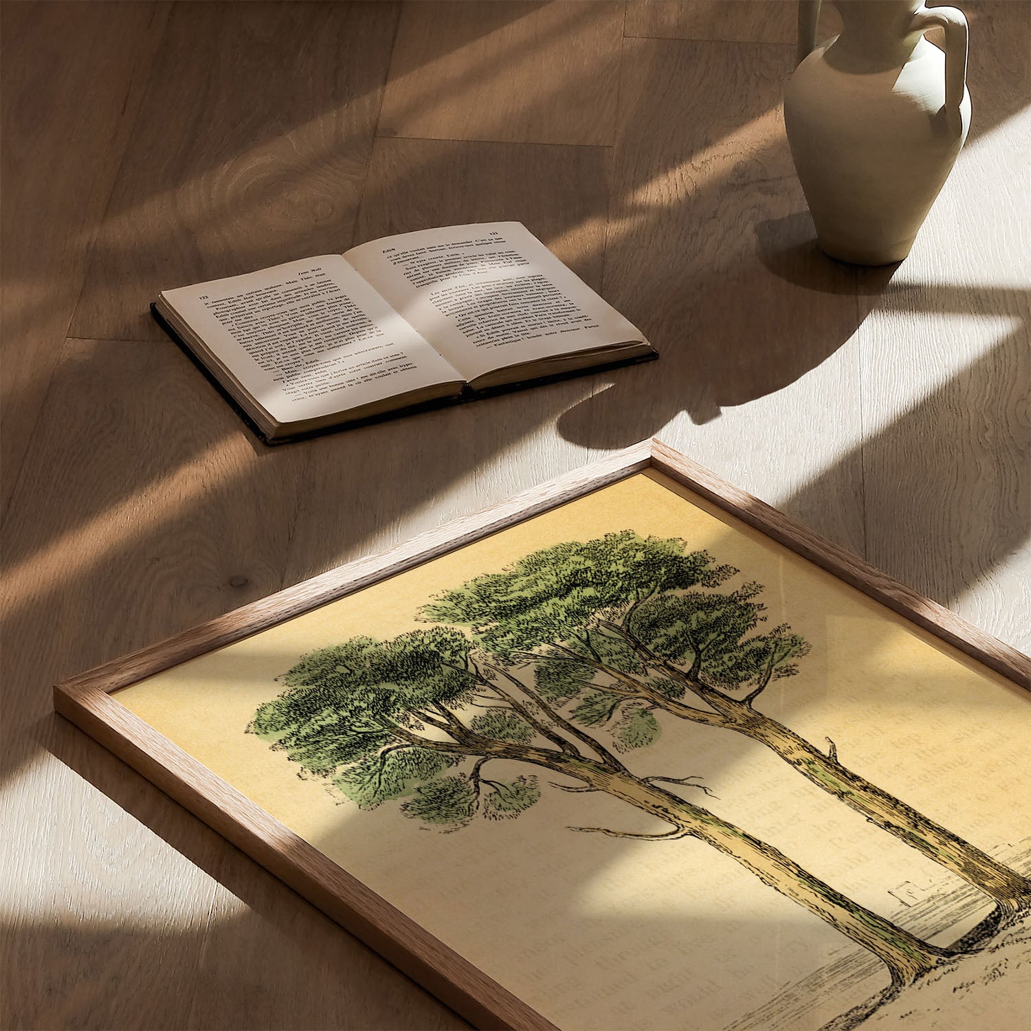 the pine tree