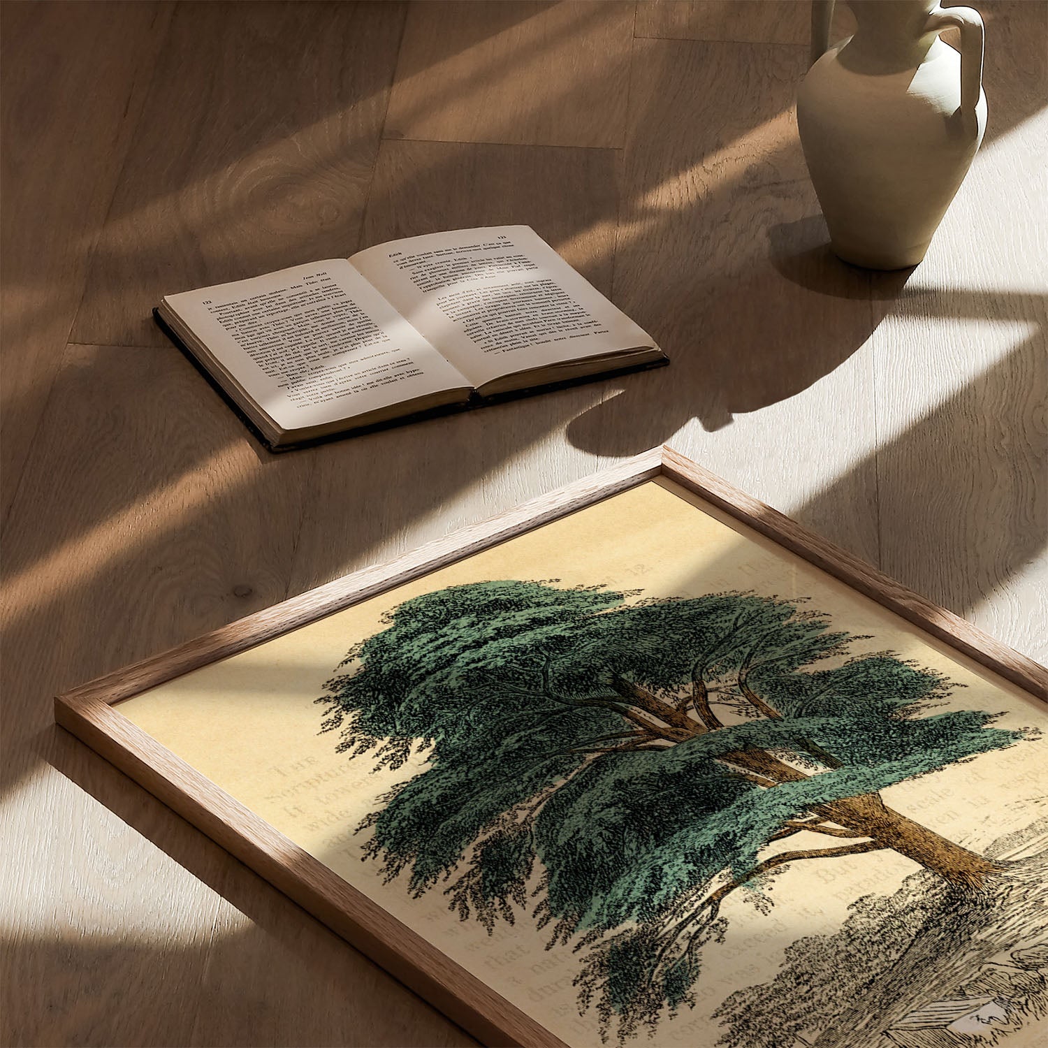 the cedar tree