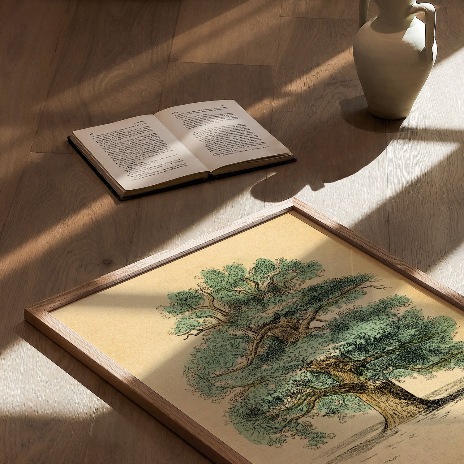 the oak tree