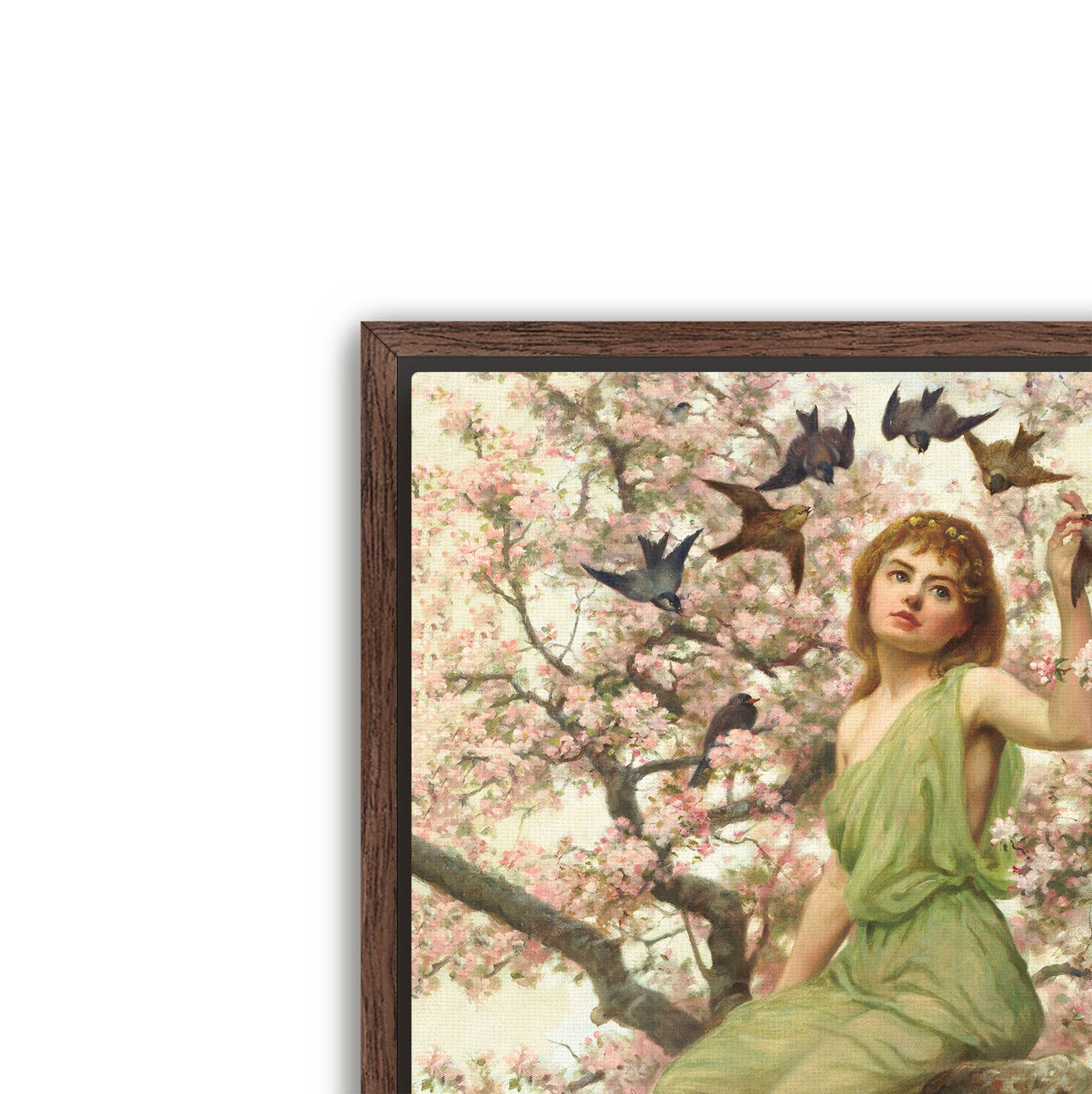 birds of spring