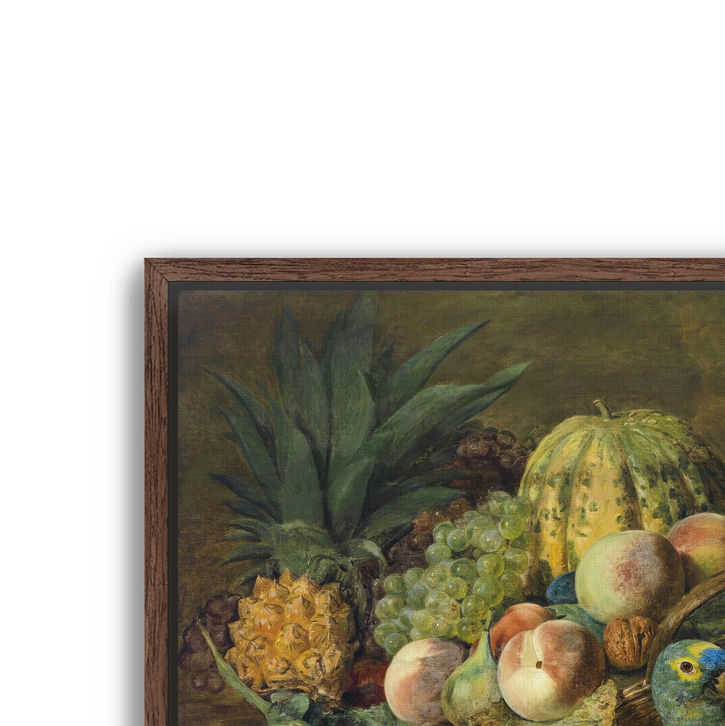 fruit with parrot