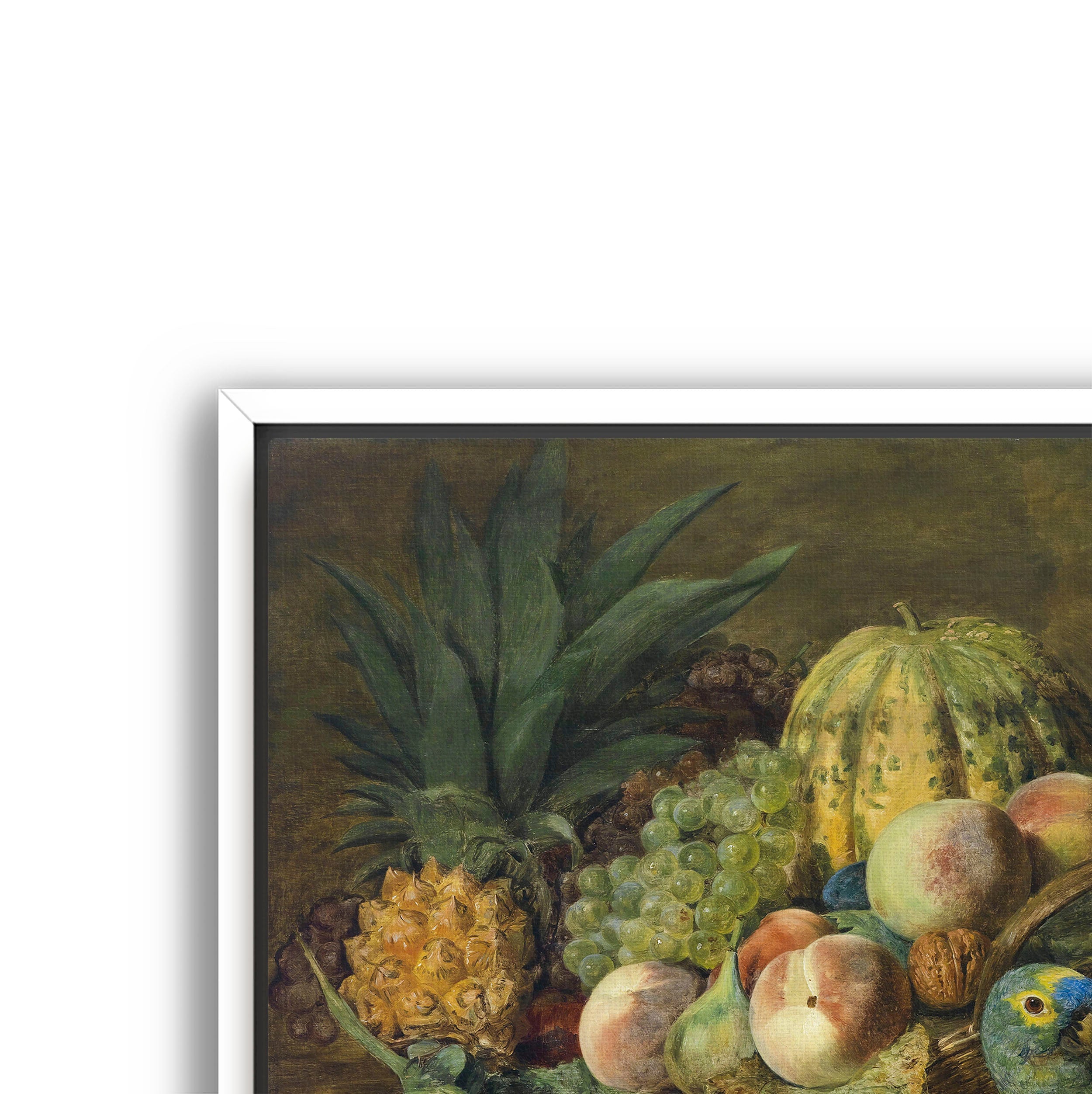 fruit with parrot