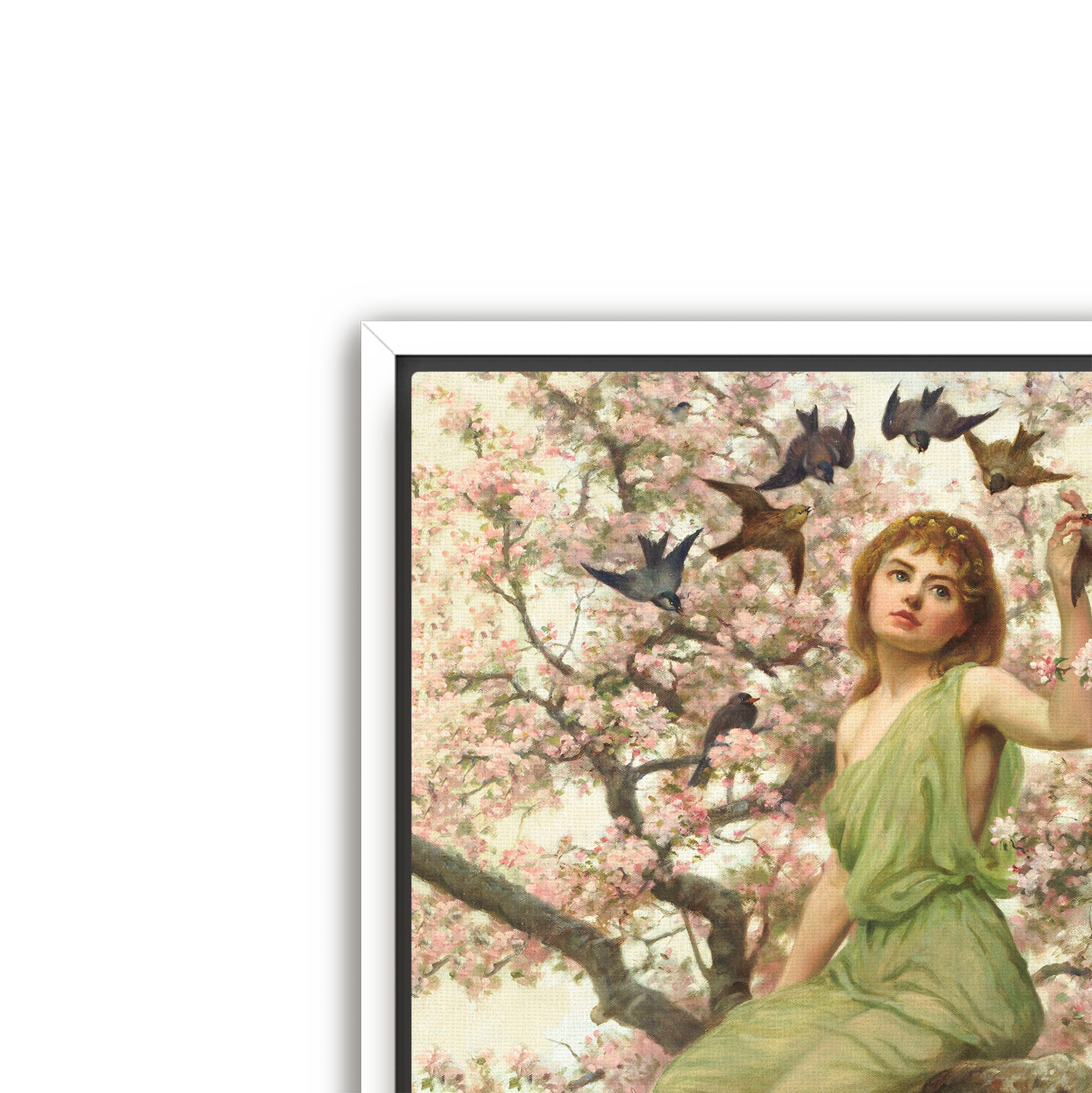 birds of spring